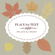 秋天的落叶 秋天的落叶