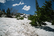 冬季，雪景-树木-山脉-徒步小径