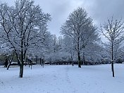 冬日美景的魅力――黑色的树枝上覆盖着新鲜蓬松的白雪