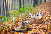 秋天山毛榉森林里的食物篮和登山靴