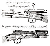 横截面的枪支 横截面的枪支