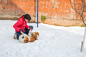 女人和狗在雪中玩耍