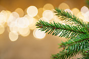 冷杉树枝散焦圣诞灯