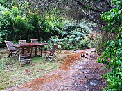 绿树成荫的花园，木制桌椅