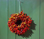 圣达菲风格:圣诞红花环，绿色门