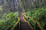 泰国清迈，Doi Inthanon国家公园昂卡銮自然步道中的青苔高原热带雨林中的木桥