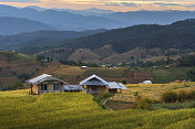 美丽的日出在绿色梯田在Pa Pong Pieng，泰国清迈