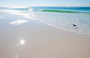 佛罗里达德斯汀翡翠海岸海滩上的海鸥和阳光反射