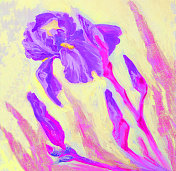 时尚的春天插图寓言现代艺术作品印象派风景我的原始油画在画布上盛开的紫罗兰鸢尾花对着阳光灿烂的天空 时尚的春天插图寓言现代艺术作品印象派风景我的原始油画在画布上盛开的紫罗兰鸢尾花对着阳光灿烂的天空