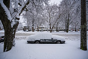 维多利亚BC降雪