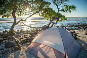 日落时沙滩上搭帐篷，吊床挂在树上，没有人