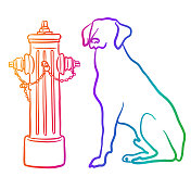 消防栓和彩虹狗