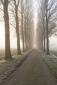 在一个有雾的秋天开始的IJsseldelta景观的雾蒙蒙的早晨景观