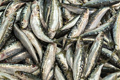 雅典鱼市的鱼类及海产品。