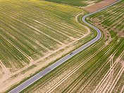 德国田野间蜿蜒的道路