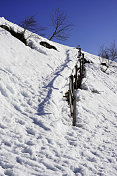 雪地上的小路