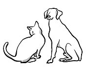 喜欢猫和狗 喜欢猫和狗