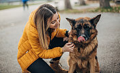 年轻女子和德国牧羊犬在公园里玩