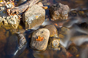 长时间曝光，模糊了河流在森林中的运动。秋天的风景。Lanaudiere,魁北克,加拿大