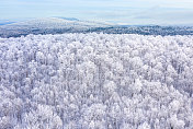 鸟瞰图北半球自然森林在冬季雪灾后，魁北克，加拿大