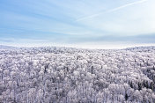 鸟瞰图北半球自然森林在冬季雪灾后，魁北克，加拿大