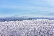 鸟瞰图北半球自然森林在冬季雪灾后，魁北克，加拿大