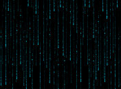 二进制编码下降 二进制编码下降