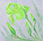 时尚的春天,插图,寓言,现代艺术作品,印象派风景,我的原始油画在画布上,盛开的绿色的鸢尾花,映衬着浅蓝的天空和绿色的叶子 时尚的春天,插图,寓言,现代艺术作品,印象派风景,我的原始油画在画布上,盛开的绿色的鸢尾花,映衬着浅蓝的天空和绿色的叶子