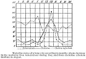 图表显示不同感染的死亡率在一年中- 19世纪