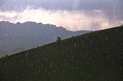 弗林德斯山脉澳大利亚景观雨Wilpeana