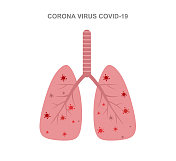 人肺部的冠状病毒