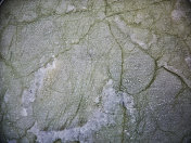 这张照片展示了在阿布扎比建筑中使用的大理石的微妙纹理和纹理