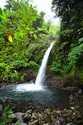 热带雨林中的瀑布，底部有宽阔清澈的水池