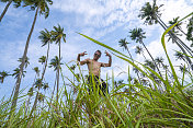 低角度的肌肉男和棕榈树在蓝天背景，婆罗洲。
