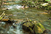 景观场景-林地地区的小溪流