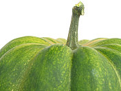 南瓜Cucurbita Moschata