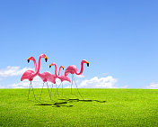 一群装饰的粉红色火烈鸟在绿色草坪上