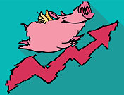 “有毛病的猪往上飞”，当“猪飞”的时候，“飞”的猪代表了疫情造成的经济中断
