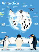 南极和企鹅