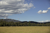 澳大利亚高山草地。