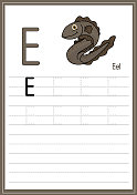 矢量插图鳗鱼孤立在白色背景。用大写字母E作为教学和学习媒体，供儿童识别英文字母或供儿童学习写字母用于在家和学校学习。