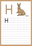 野兔孤立在白色背景上的矢量插图。用大写字母H作为教学和学习媒体，供儿童识别英文字母或供儿童学习写字母用于在家里和学校学习。