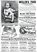 1892年的广告页