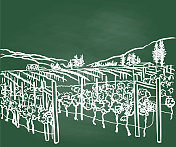 葡萄藤景观黑板 葡萄藤景观黑板