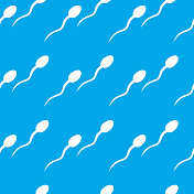 精子无缝模式 精子无缝模式