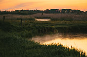 和平的风景。湖被树木环绕。夏天的日落