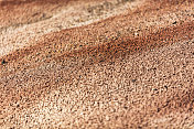 在干旱气候的荒野地区，徒步黏土土具有个人焦点