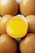 蛋黄和蛋壳