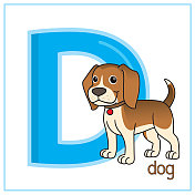 矢量图的狗孤立在一个白色的背景。用大写字母D作为教学和学习媒体，供儿童识别英文字母或供儿童学习写字母用于在家里和学校学习。