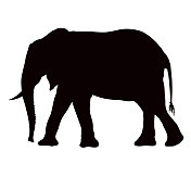 非洲象动物剪影